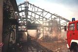 Rinder und Geflügel bei Großfeuer verbrannt